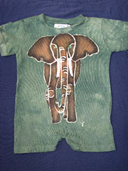 Elephant Romper